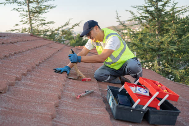 Best Roof Gutter Cleaning  in Flying Hills, PA